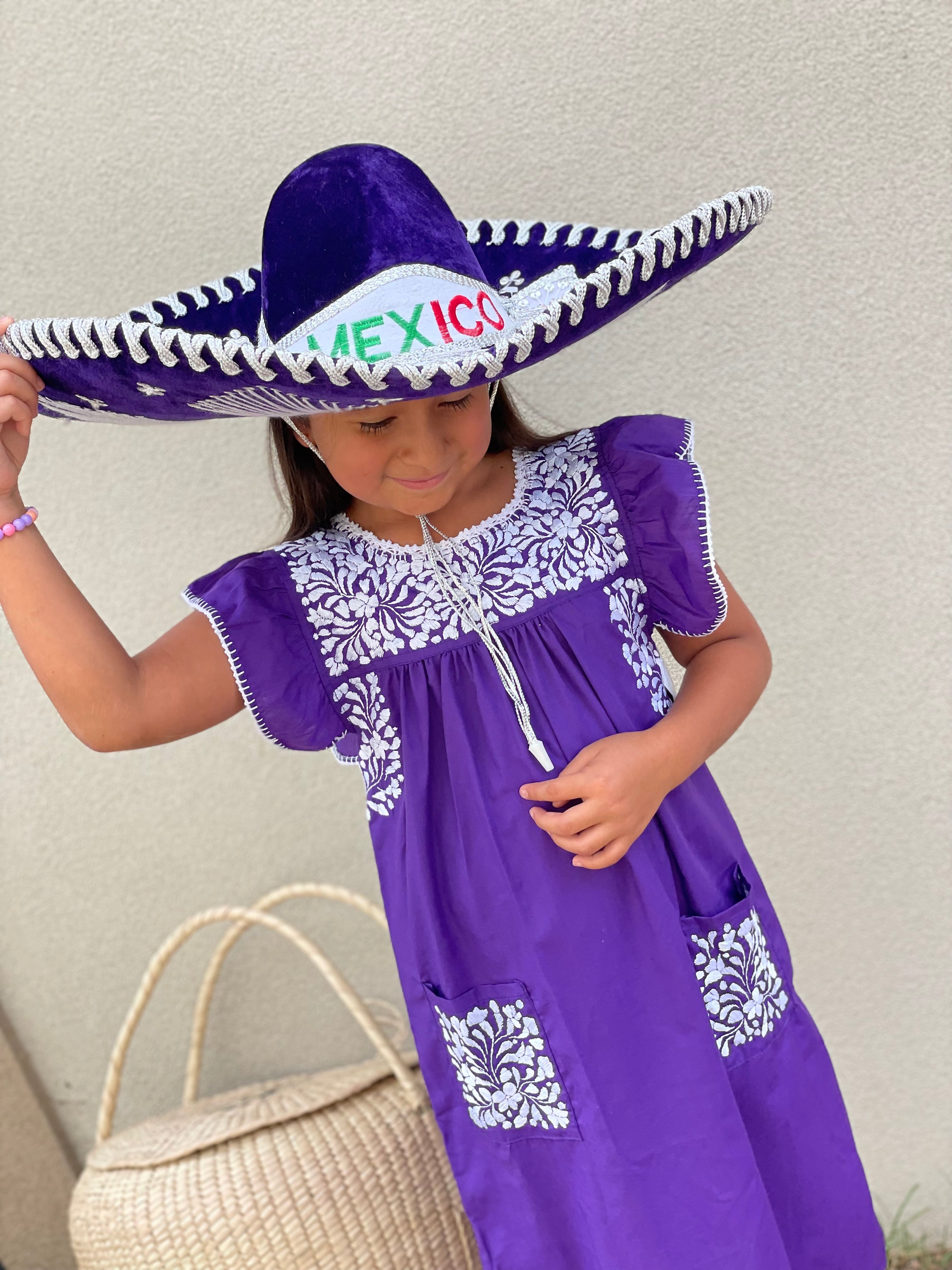 Hand Embroidered PURPLE Dress