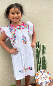 Hand Embroidered Multi-Colored Dress